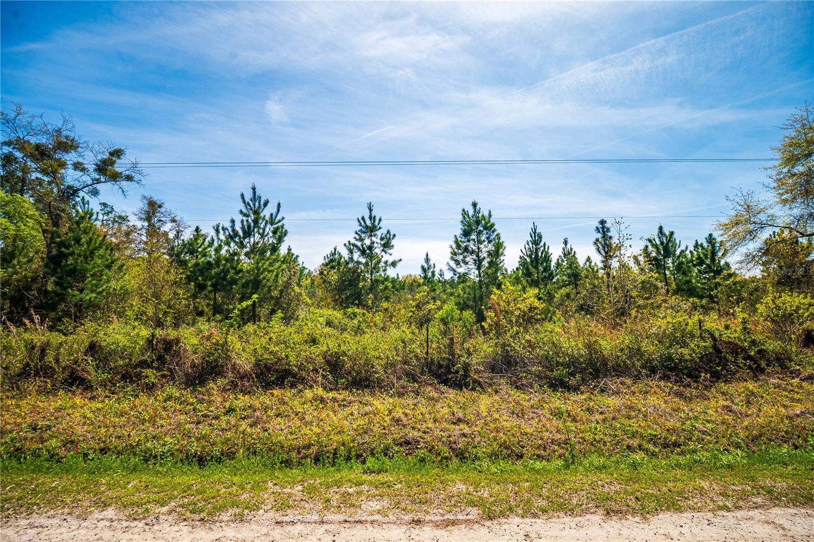 01 NW 185TH ST, STARKE, FL, 32091