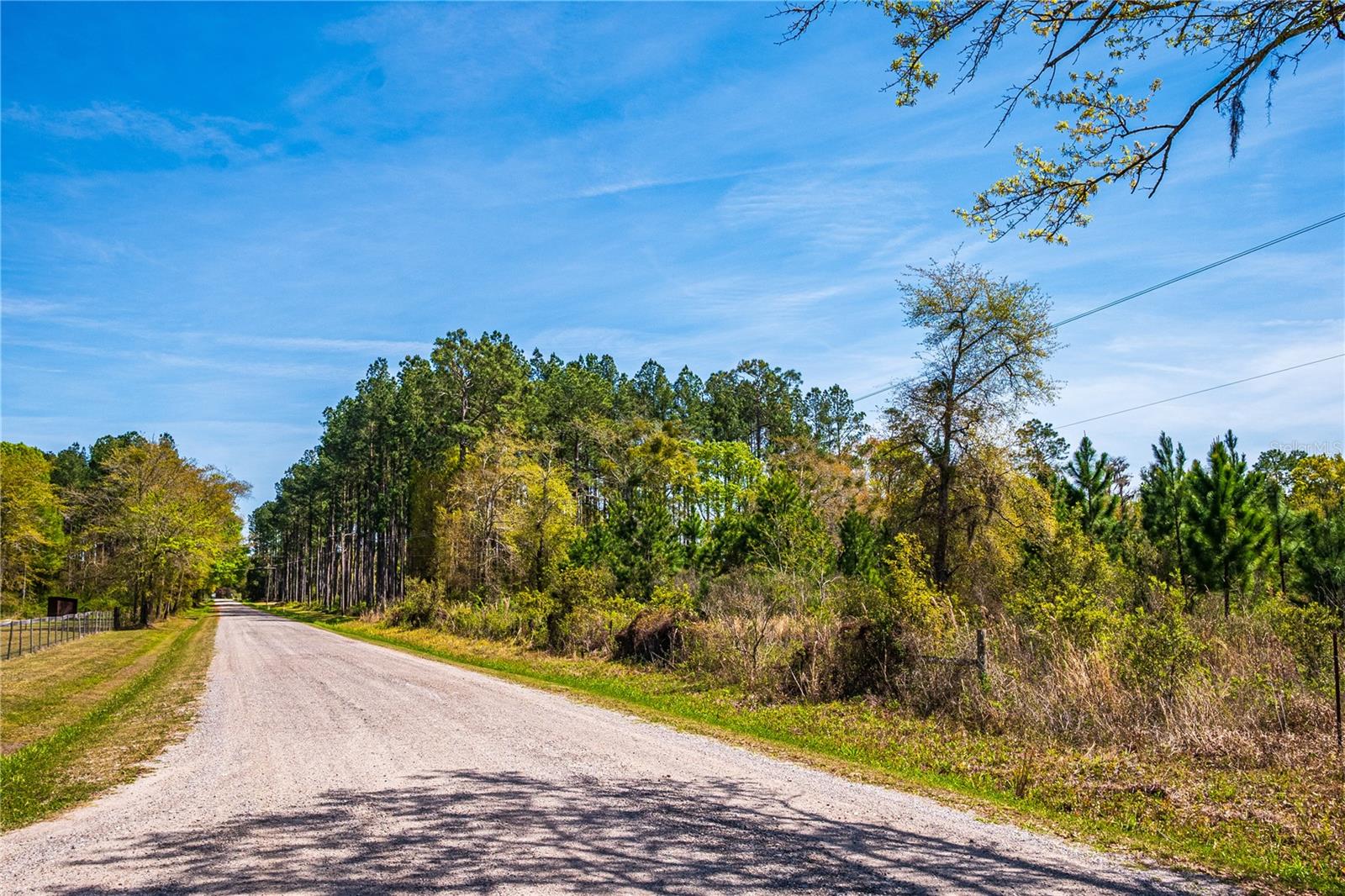 01 NW 185TH ST, STARKE, FL, 32091