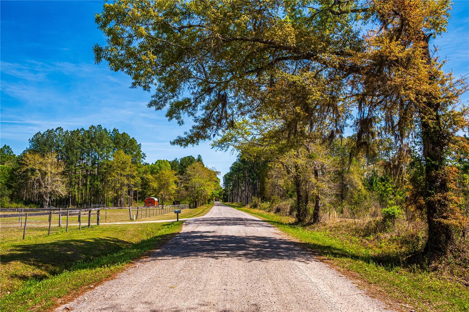 01 NW 185TH ST, STARKE, FL, 32091