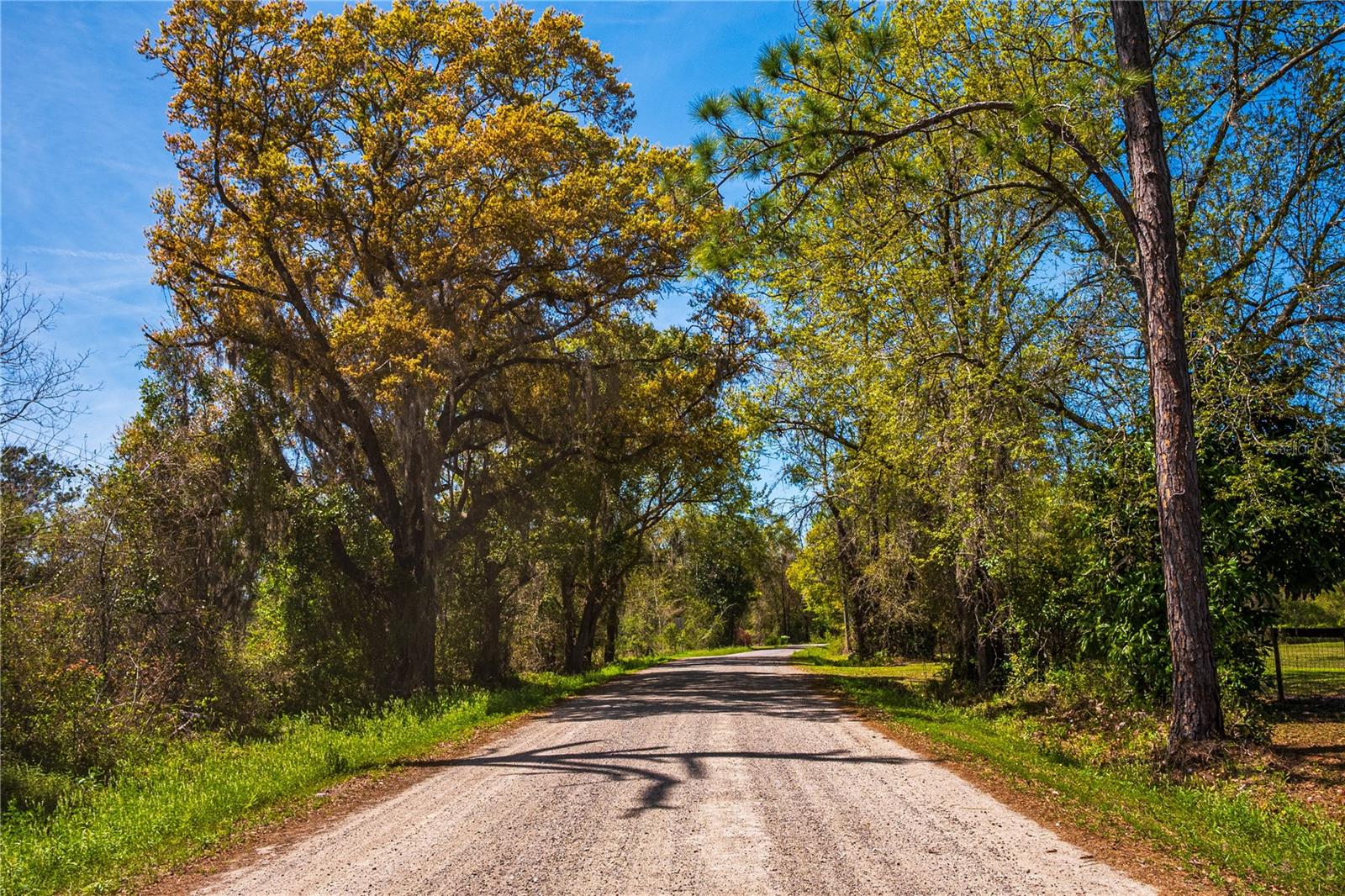 01 NW 185TH ST, STARKE, FL, 32091