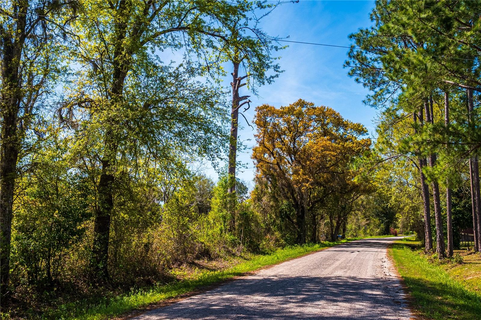 01 NW 185TH ST, STARKE, FL, 32091