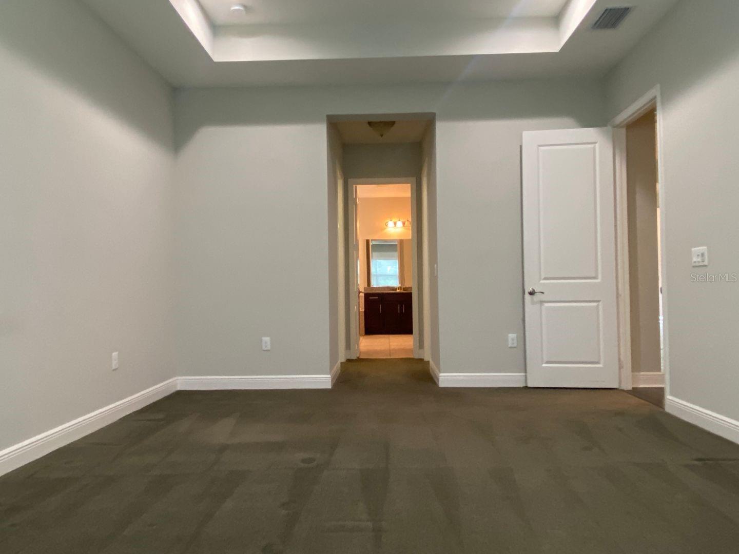 31134 SPRUCEBERRY CT, WESLEY CHAPEL, FL, 33543