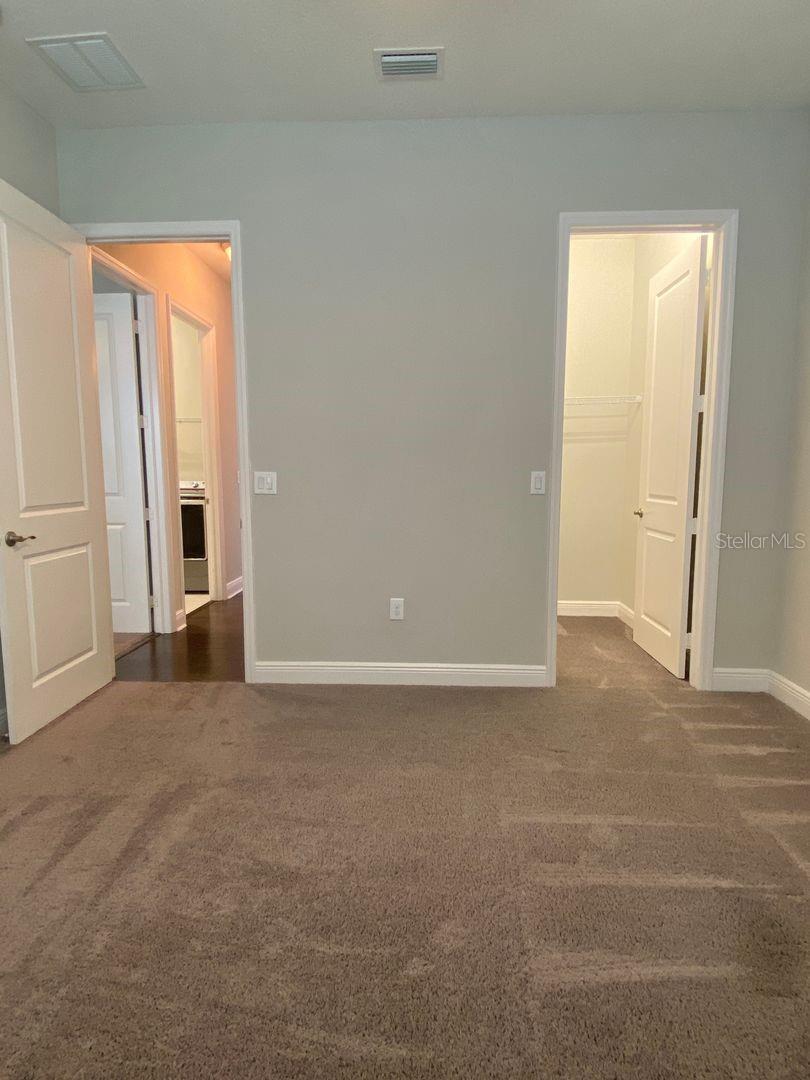 31134 SPRUCEBERRY CT, WESLEY CHAPEL, FL, 33543