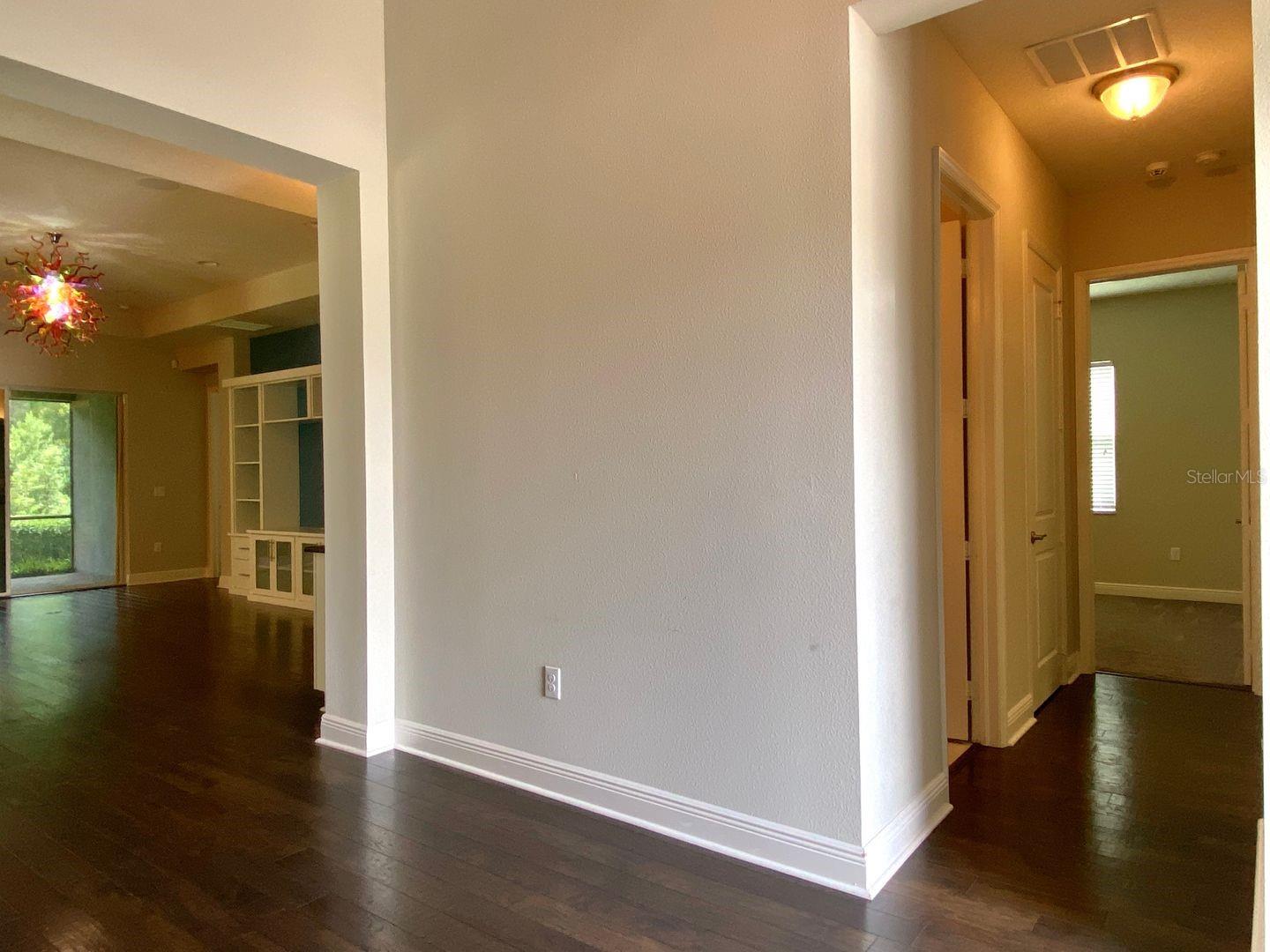 31134 SPRUCEBERRY CT, WESLEY CHAPEL, FL, 33543