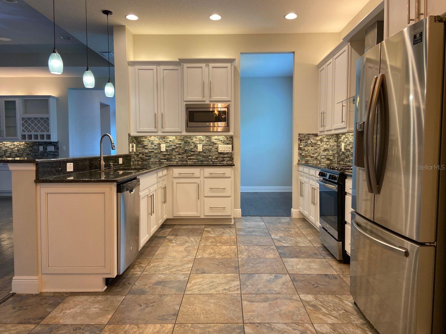 31134 SPRUCEBERRY CT, WESLEY CHAPEL, FL, 33543