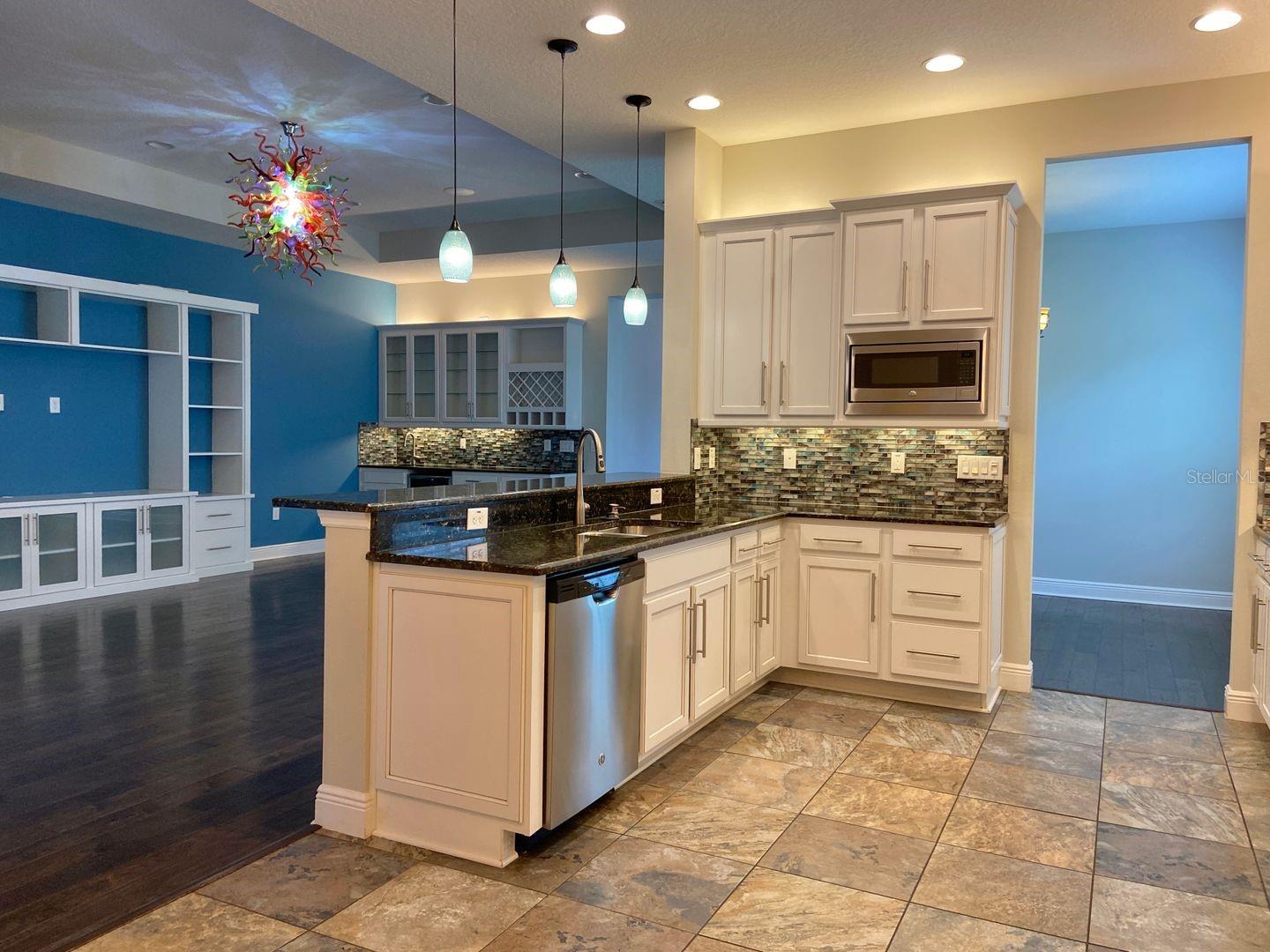 31134 SPRUCEBERRY CT, WESLEY CHAPEL, FL, 33543