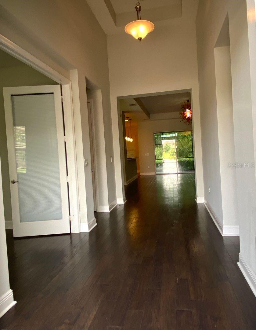 31134 SPRUCEBERRY CT, WESLEY CHAPEL, FL, 33543