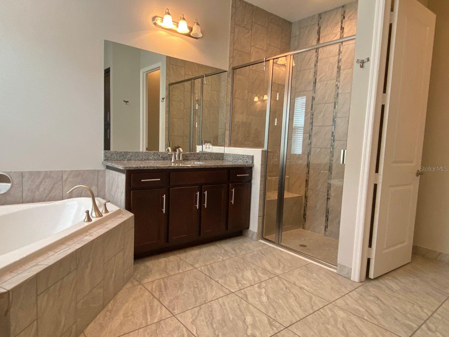 31134 SPRUCEBERRY CT, WESLEY CHAPEL, FL, 33543