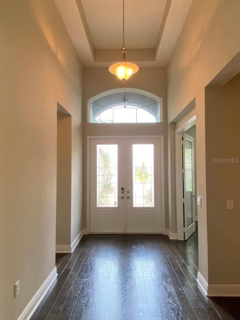 31134 SPRUCEBERRY CT, WESLEY CHAPEL, FL, 33543