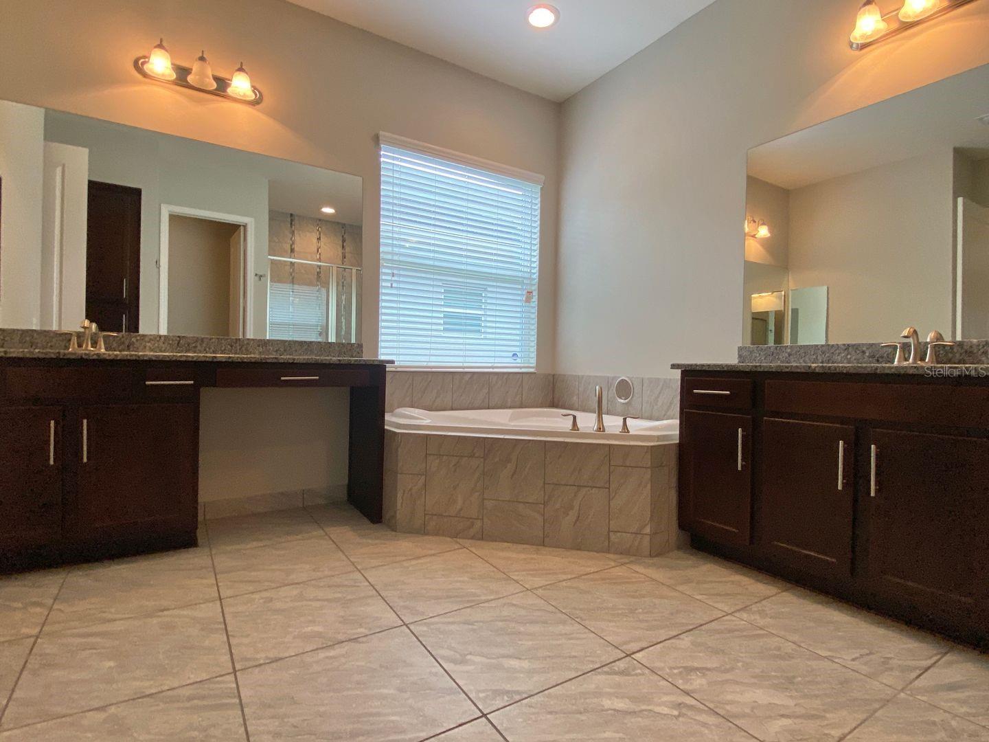 31134 SPRUCEBERRY CT, WESLEY CHAPEL, FL, 33543