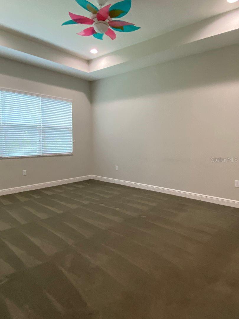 31134 SPRUCEBERRY CT, WESLEY CHAPEL, FL, 33543