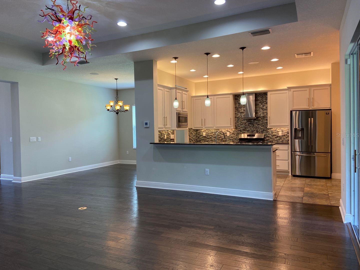 31134 SPRUCEBERRY CT, WESLEY CHAPEL, FL, 33543