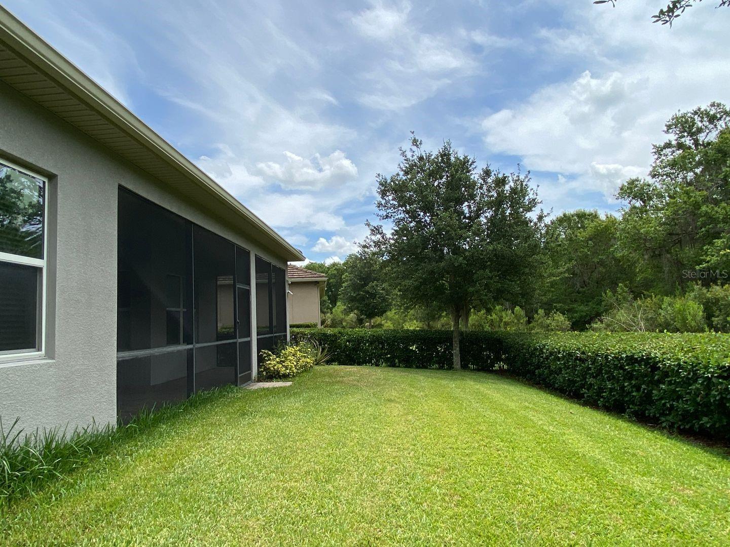 31134 SPRUCEBERRY CT, WESLEY CHAPEL, FL, 33543