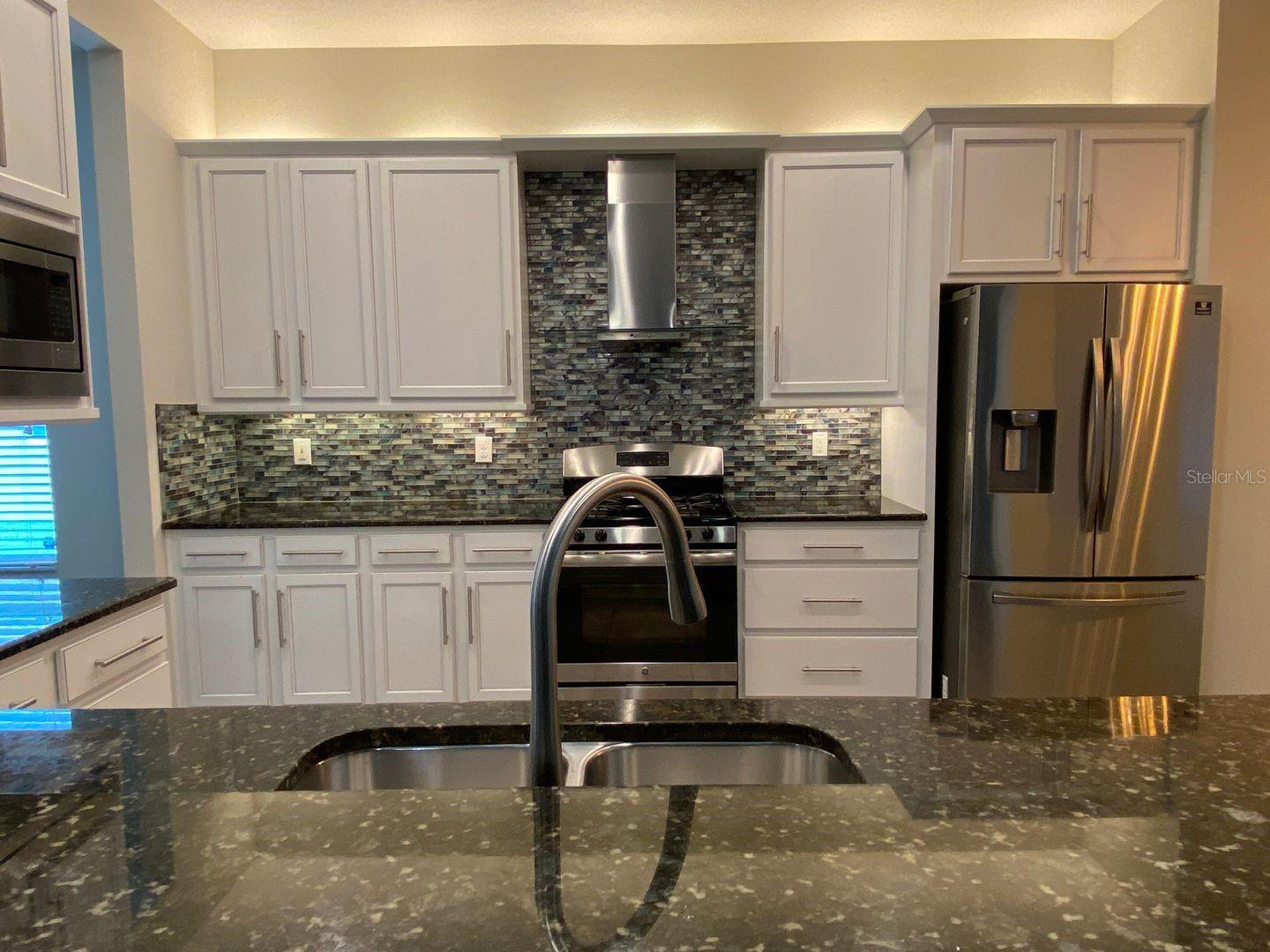 31134 SPRUCEBERRY CT, WESLEY CHAPEL, FL, 33543