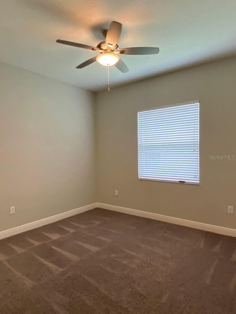 31134 SPRUCEBERRY CT, WESLEY CHAPEL, FL, 33543