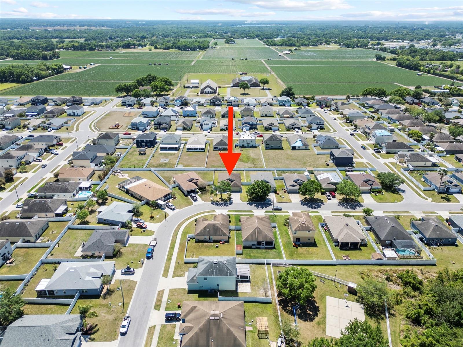 3614 TRAPNELL RIDGE DR, PLANT CITY, FL, 33567