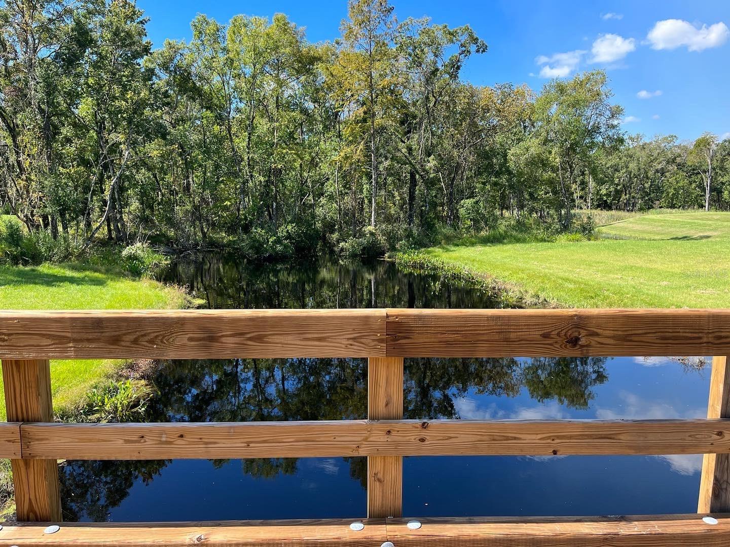 12252 NOUVEAU AVE, SPRING HILL, FL, 34610