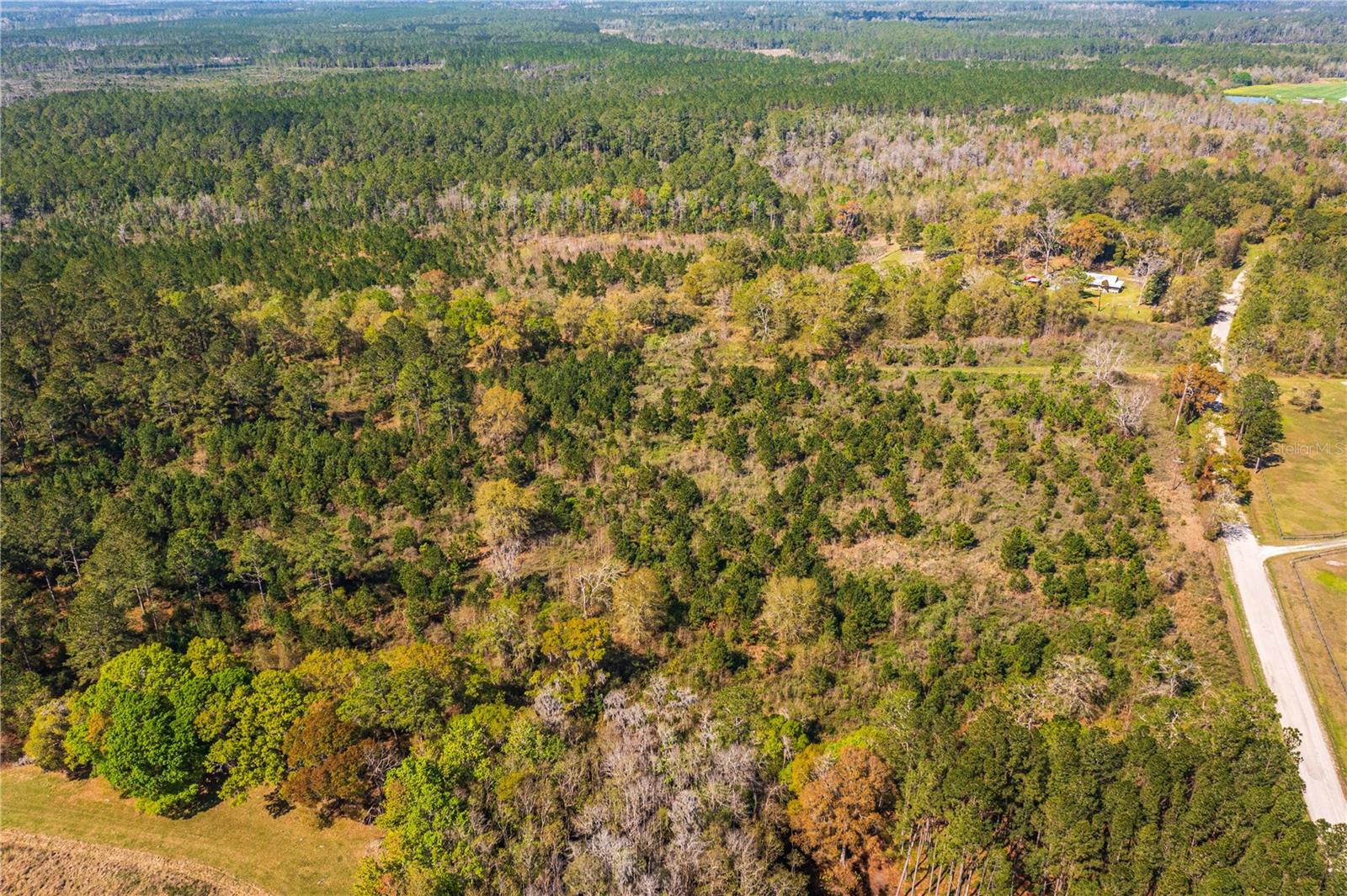 002 NW 185TH ST, STARKE, FL, 32091