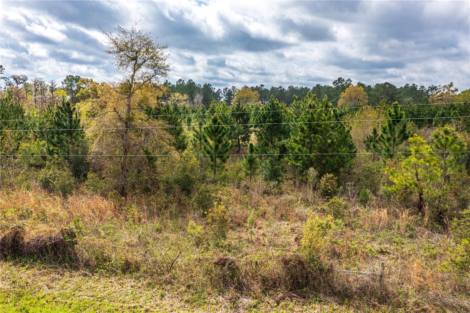 002 NW 185TH ST, STARKE, FL, 32091