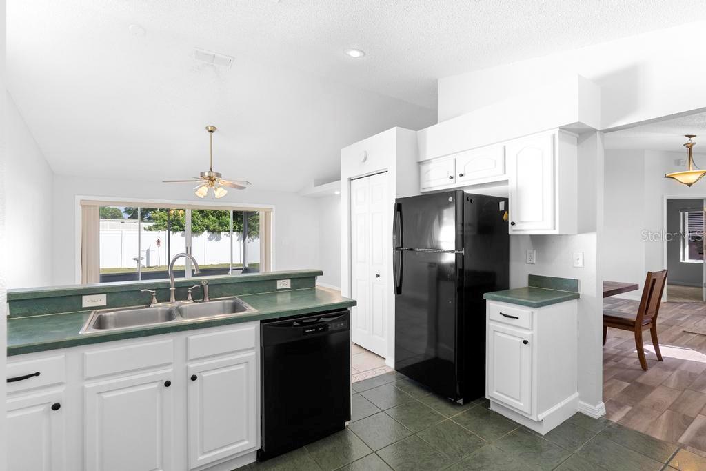 484 SHERWOOD OAKS RD, ORANGE CITY, FL, 32763