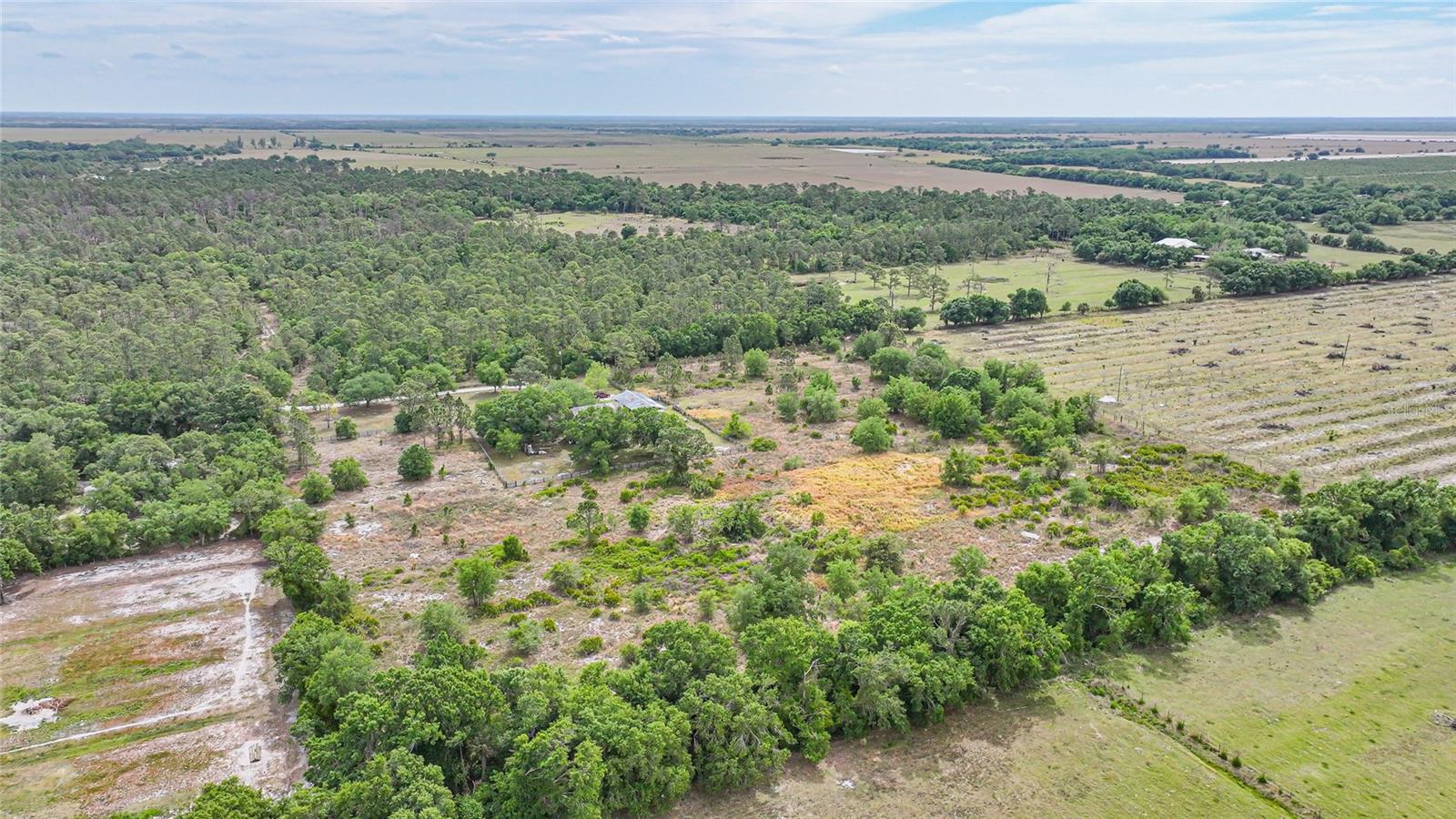 9173 SE SWINNEY RD, ARCADIA, FL, 34266