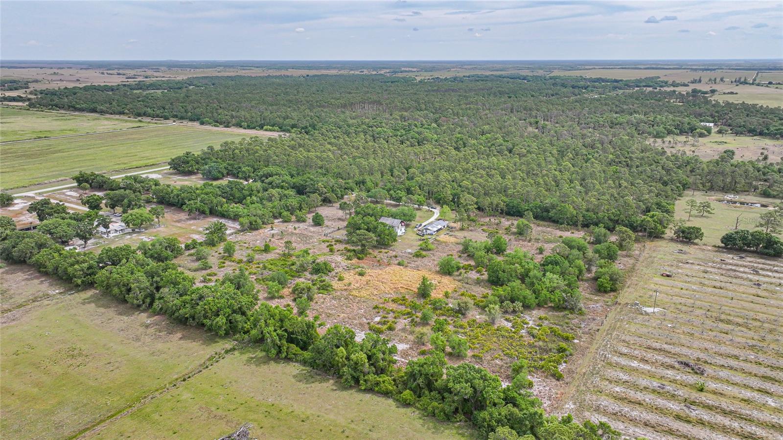 9173 SE SWINNEY RD, ARCADIA, FL, 34266