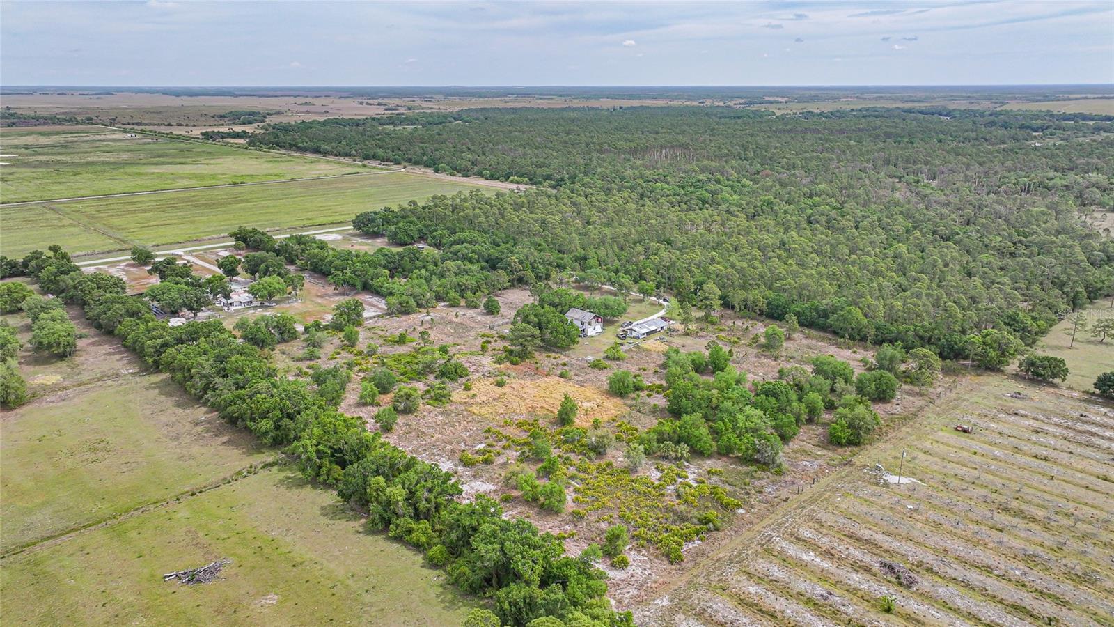 9173 SE SWINNEY RD, ARCADIA, FL, 34266