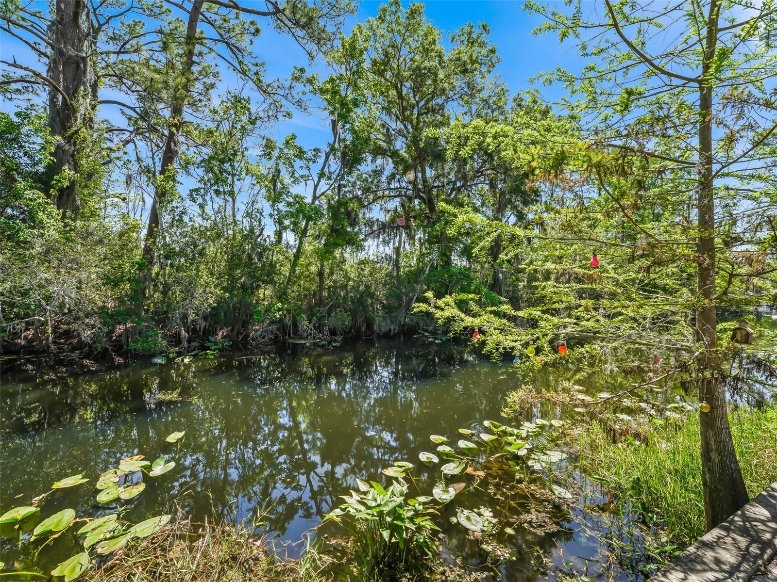 34826 LEARN RD, LEESBURG, FL, 34788