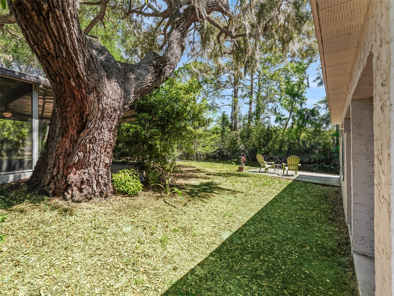 34826 LEARN RD, LEESBURG, FL, 34788