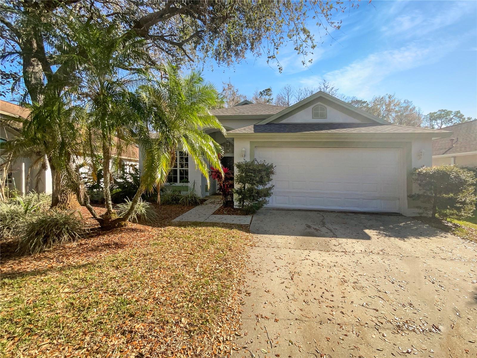 11823 DERBYSHIRE DR, TAMPA, FL, 33626