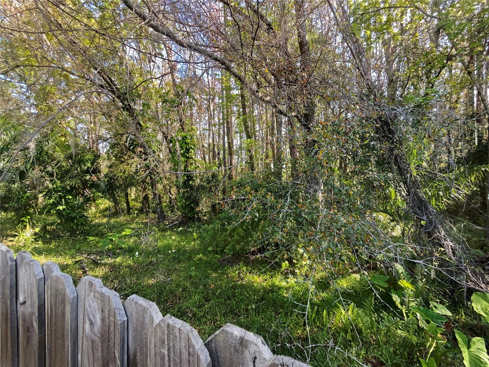 11823 DERBYSHIRE DR, TAMPA, FL, 33626