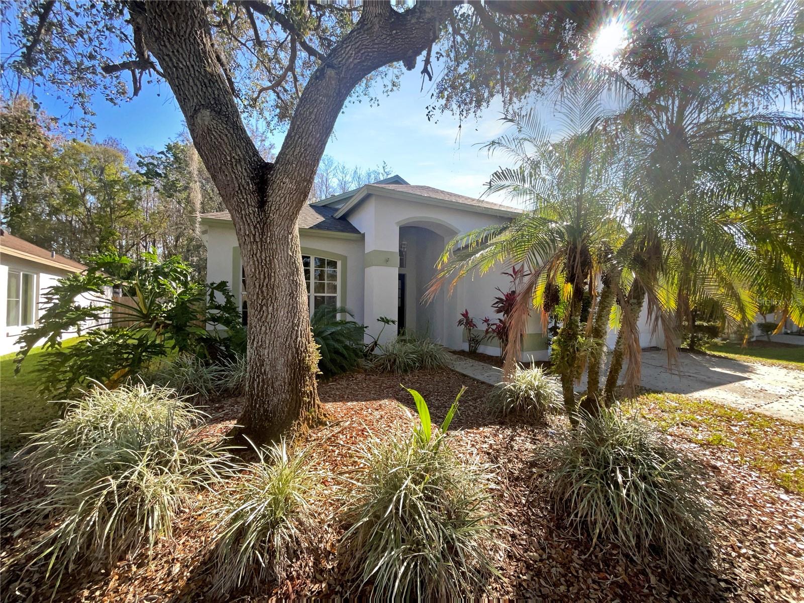 11823 DERBYSHIRE DR, TAMPA, FL, 33626