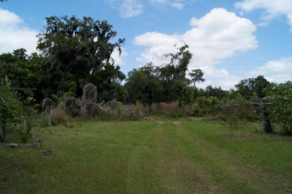 0 NICHOLS RD, LITHIA, FL, 33547