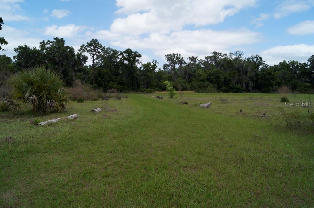 0 NICHOLS RD, LITHIA, FL, 33547