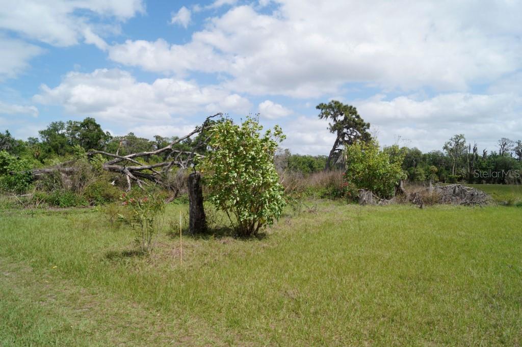 0 NICHOLS RD, LITHIA, FL, 33547