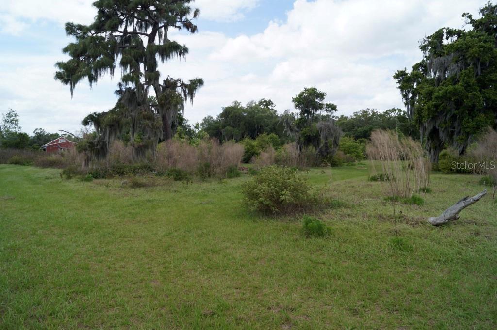 0 NICHOLS RD, LITHIA, FL, 33547