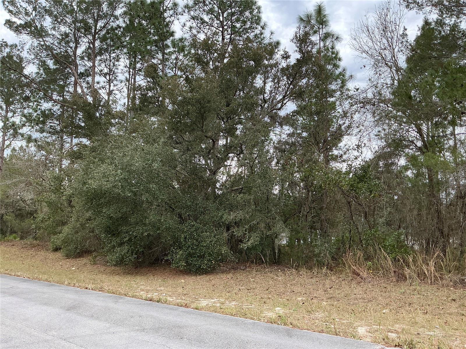 0 SW 75TH CIR, OCALA, FL, 34473