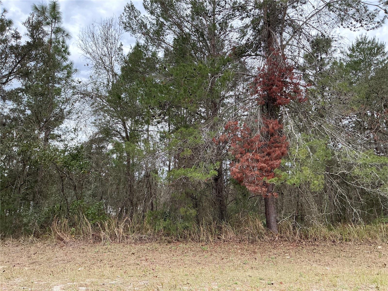 0 SW 75TH CIR, OCALA, FL, 34473