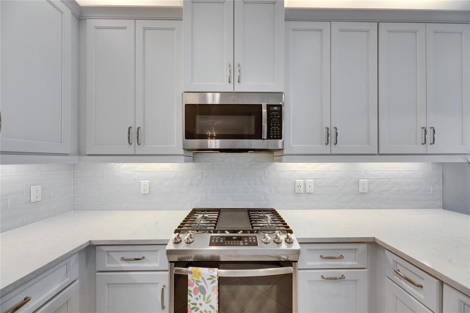 4734 AVILA LAKES DR, WIMAUMA, FL, 33598