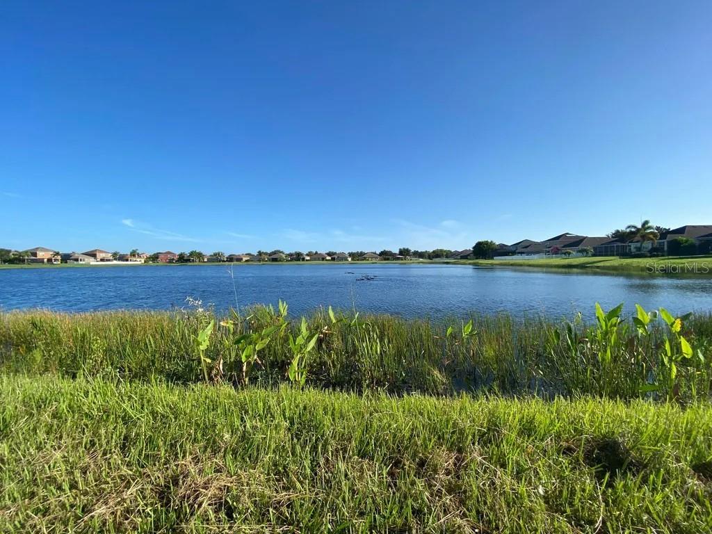 711 PARKER DEN DR, RUSKIN, FL, 33570