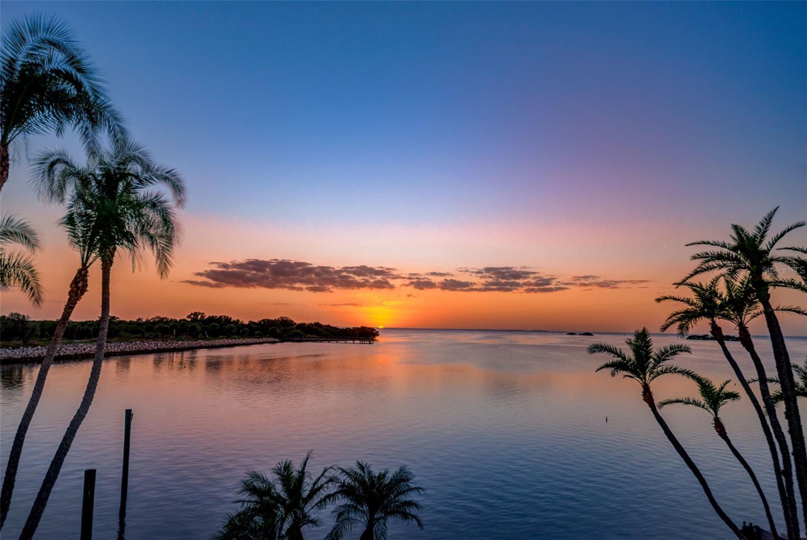 506 DRIFTWOOD CIR, PALM HARBOR, FL, 34683