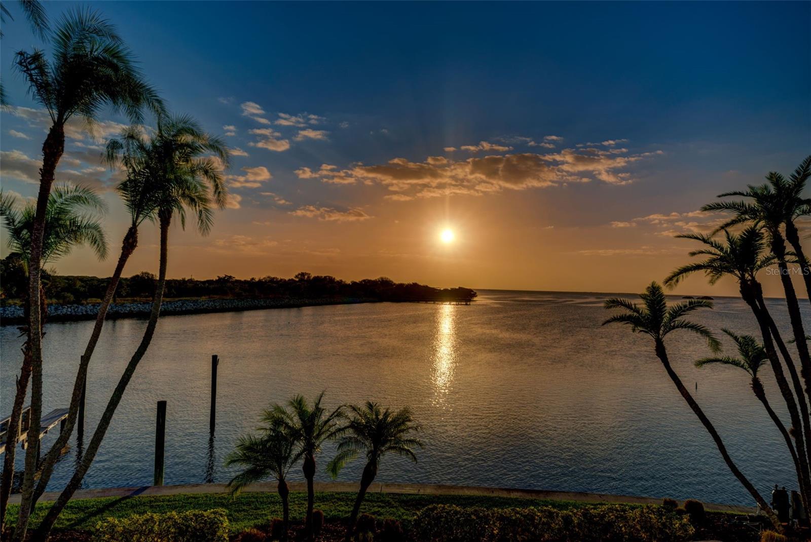 506 DRIFTWOOD CIR, PALM HARBOR, FL, 34683