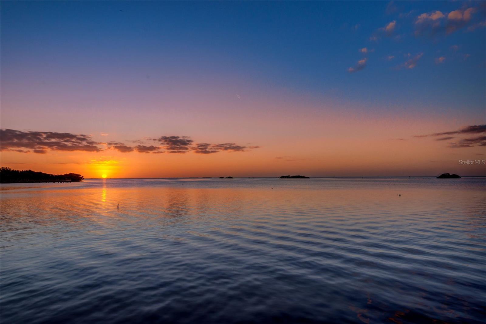 506 DRIFTWOOD CIR, PALM HARBOR, FL, 34683