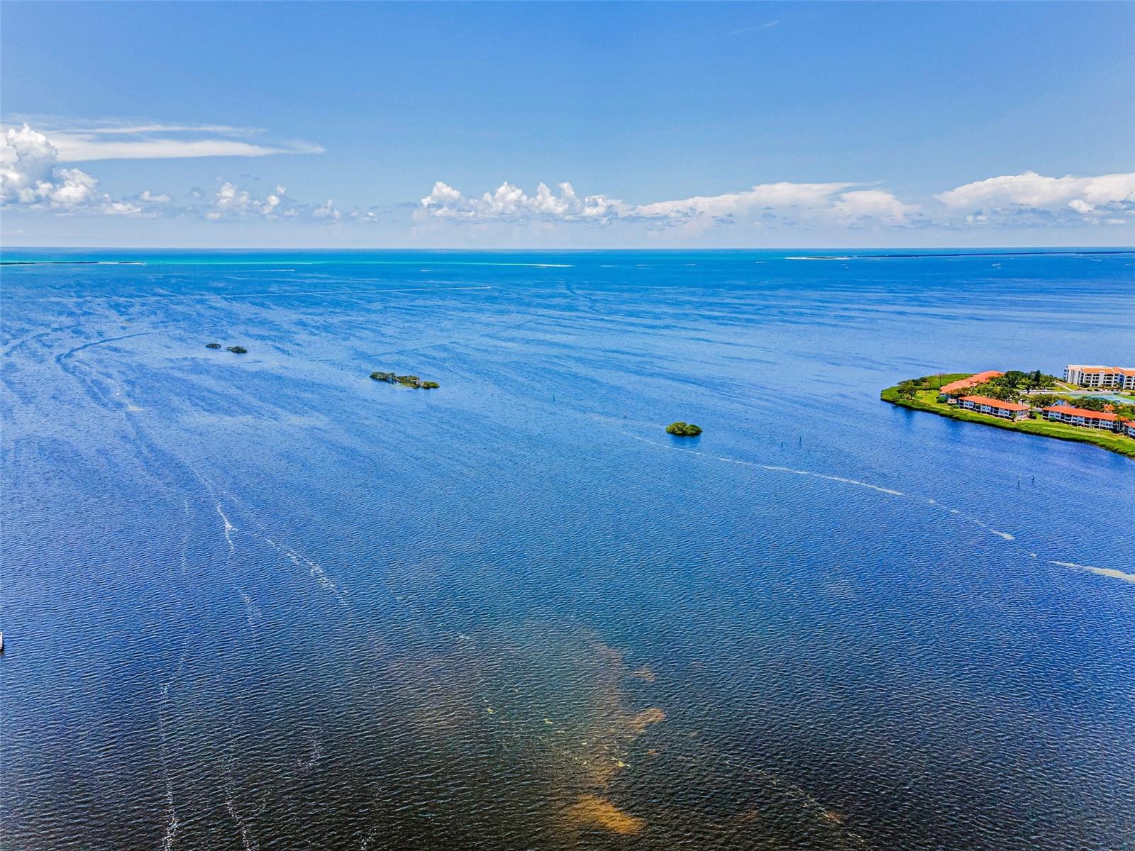 506 DRIFTWOOD CIR, PALM HARBOR, FL, 34683