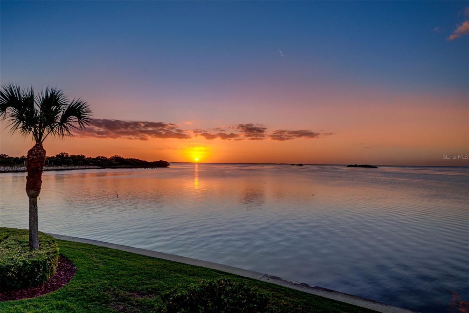 506 DRIFTWOOD CIR, PALM HARBOR, FL, 34683