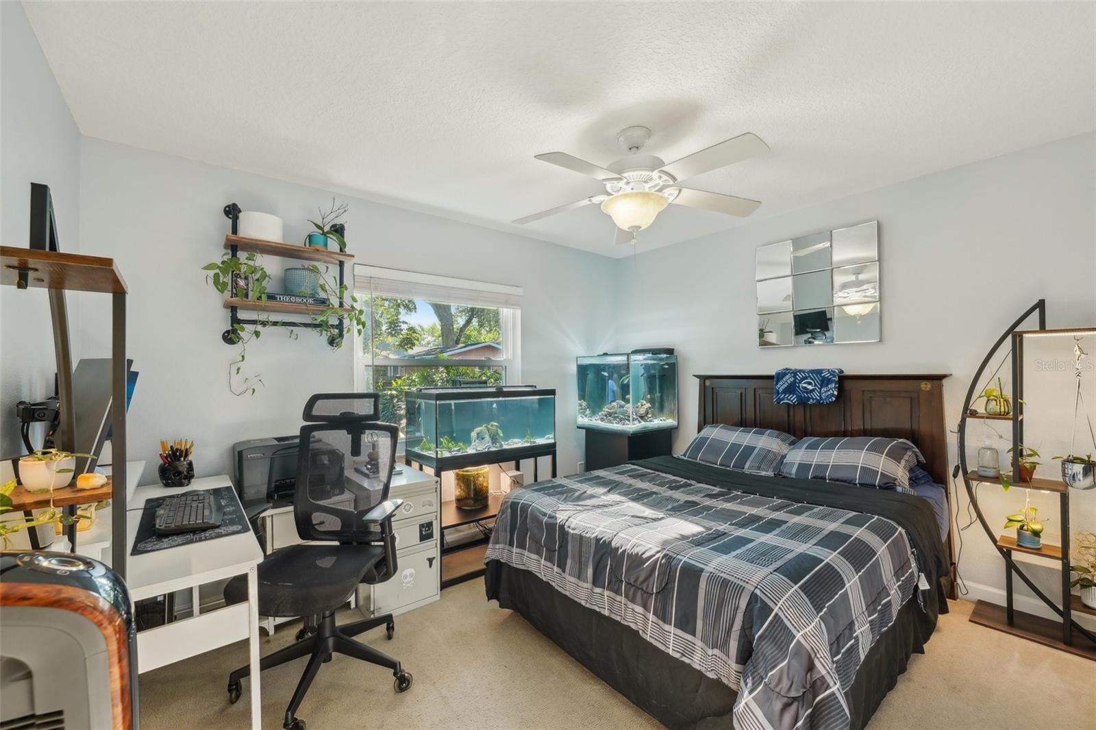 7907 N ROME AVE, TAMPA, FL, 33604