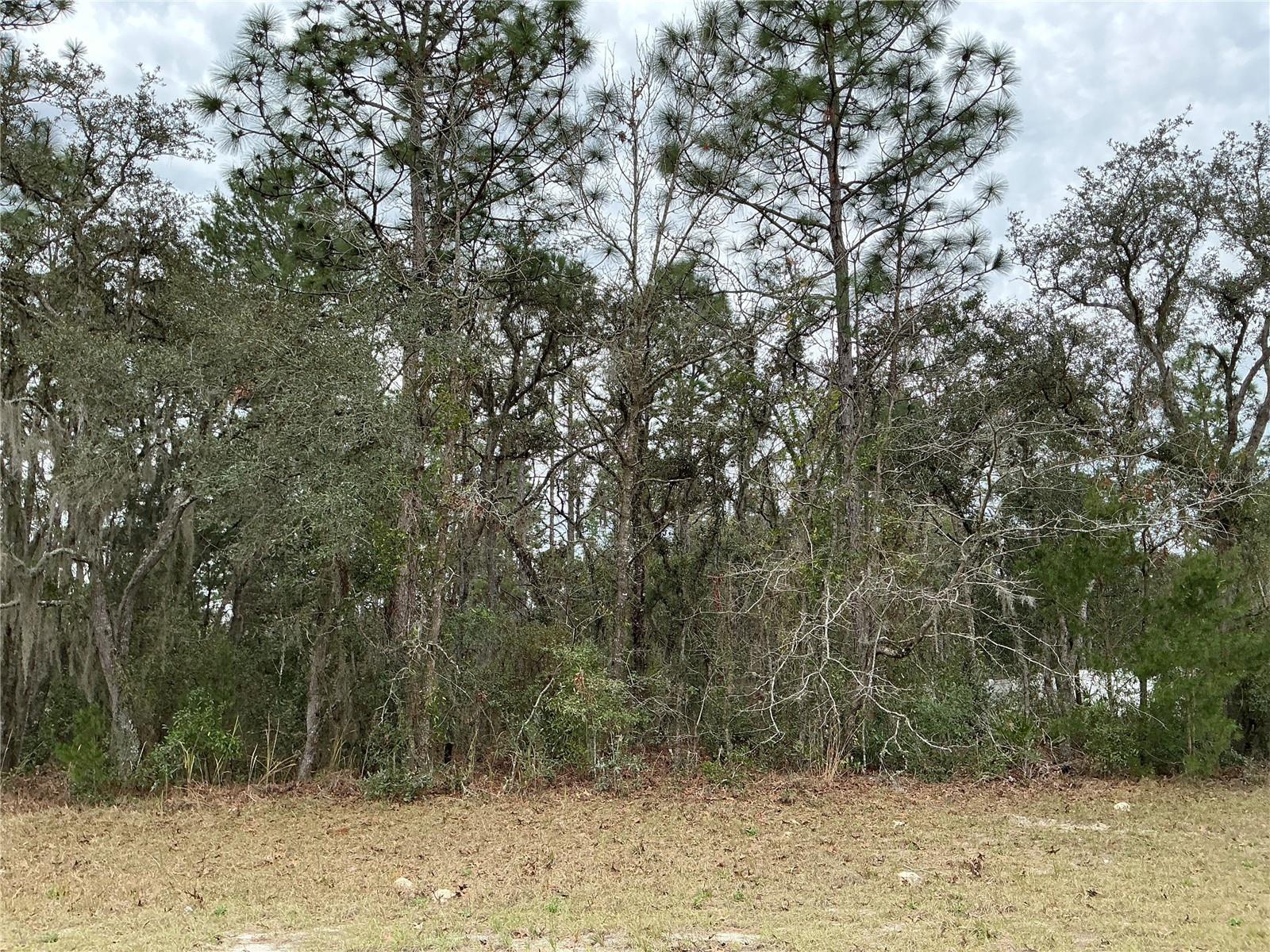 0 SW 75TH CIR, OCALA, FL, 34473