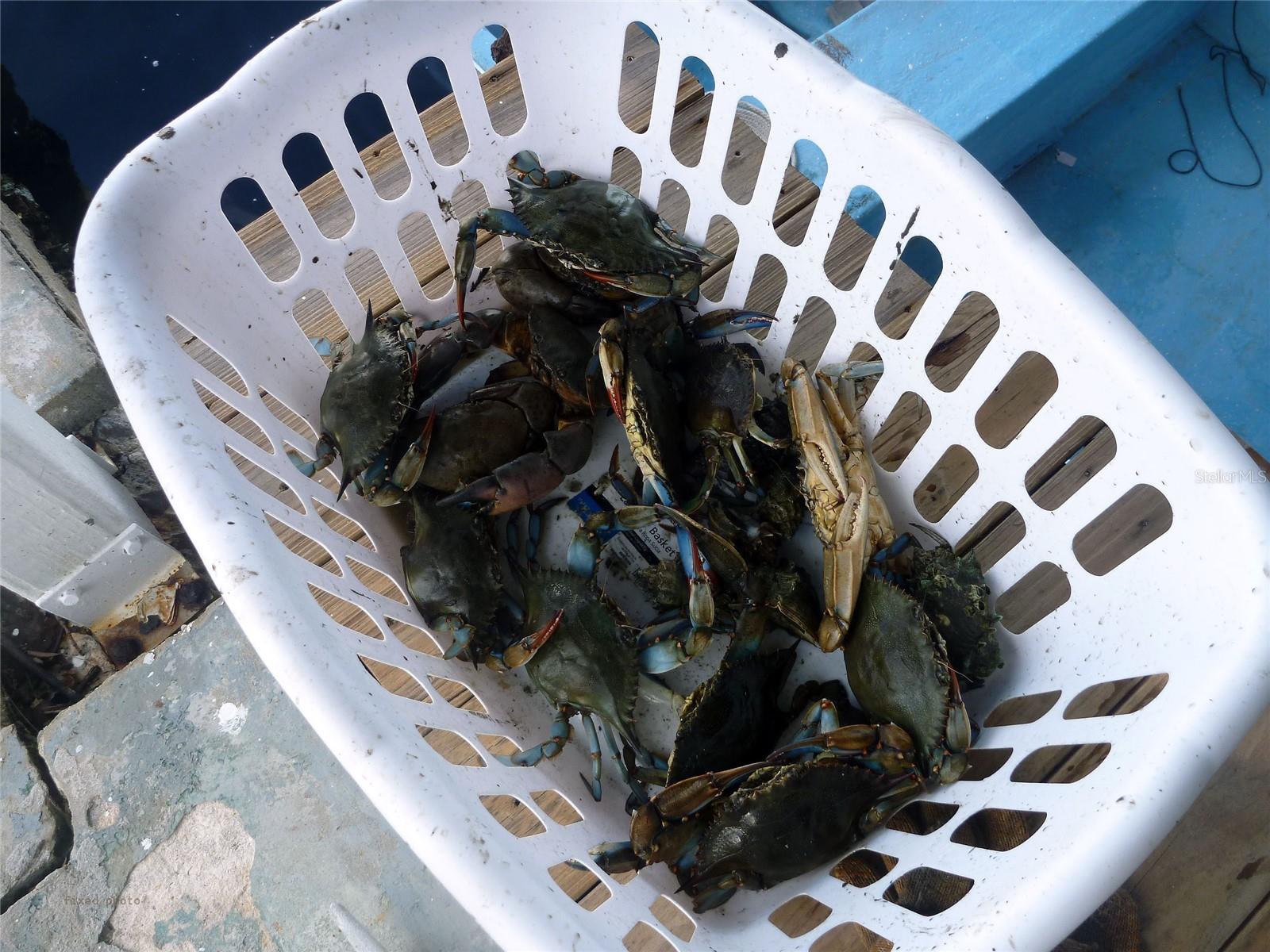 Can't get fresher than this!