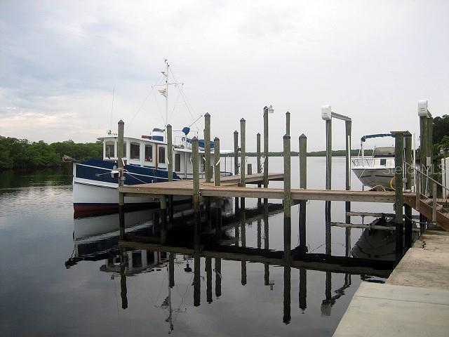 TB8366706