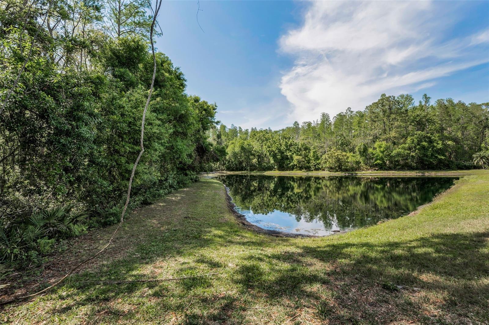 1615 CORTLEIGH DR, NEW PORT RICHEY, FL, 34655